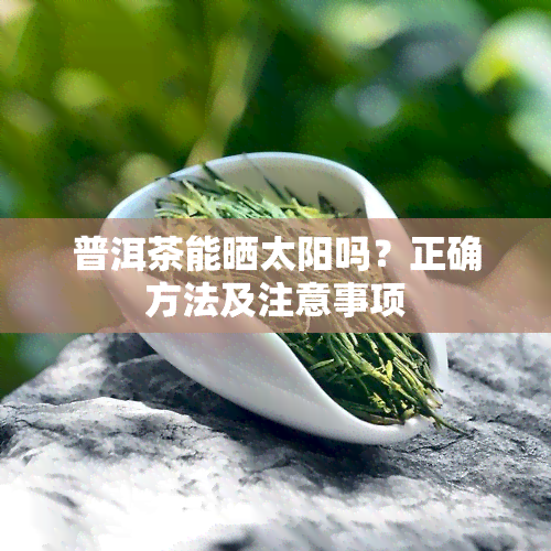 普洱茶能晒太阳吗？正确方法及注意事项