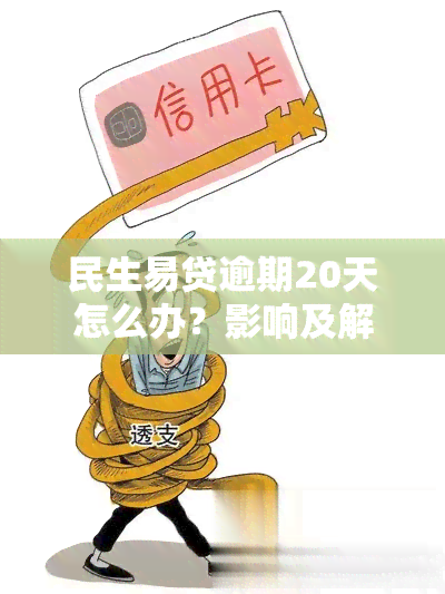 民生易贷逾期20天怎么办？影响及解决办法全解析