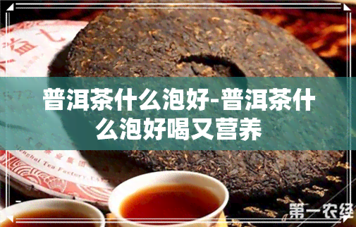 普洱茶什么泡好-普洱茶什么泡好喝又营养