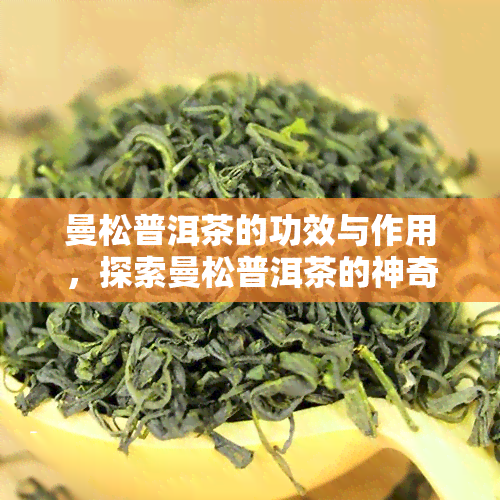 曼松普洱茶的功效与作用，探索曼松普洱茶的神奇功效与作用