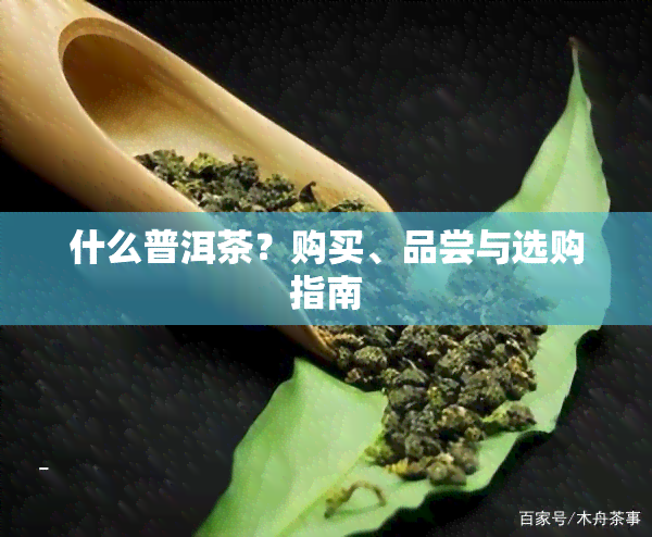 什么普洱茶？购买、品尝与选购指南