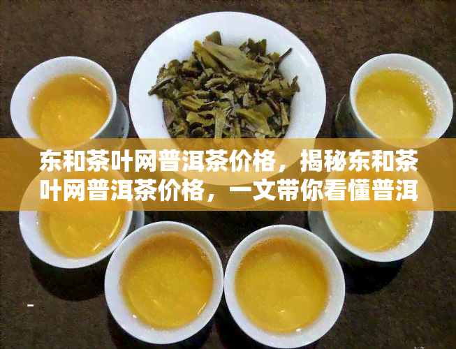 东和茶叶网普洱茶价格，揭秘东和茶叶网普洱茶价格，一文带你看懂普洱茶市场