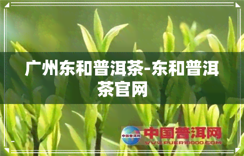 广州东和普洱茶-东和普洱茶官网