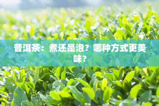 普洱茶：煮还是泡？哪种方式更美味？