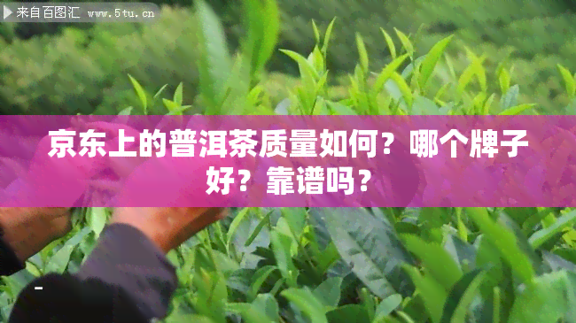 京东上的普洱茶质量如何？哪个牌子好？靠谱吗？