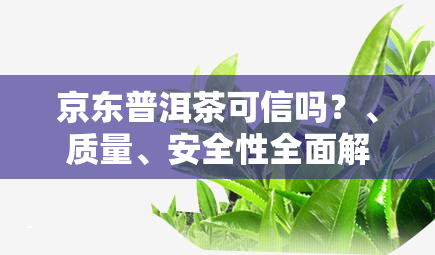 京东普洱茶可信吗？、质量、安全性全面解析