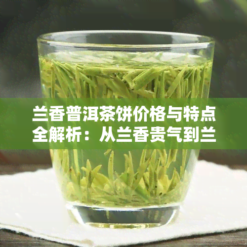 兰香普洱茶饼价格与特点全解析：从兰香贵气到兰茶坊普洱茶，一文了解所有相关信息！