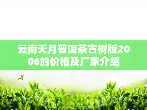 云南天月普洱茶古树版2006的价格及厂家介绍