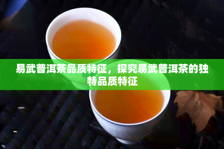 易武普洱茶品质特征，探究易武普洱茶的独特品质特征