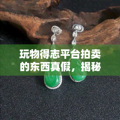 玩物得志平台拍卖的东西真假，揭秘玩物得志平台拍卖物品真伪，你是否掉入陷阱？