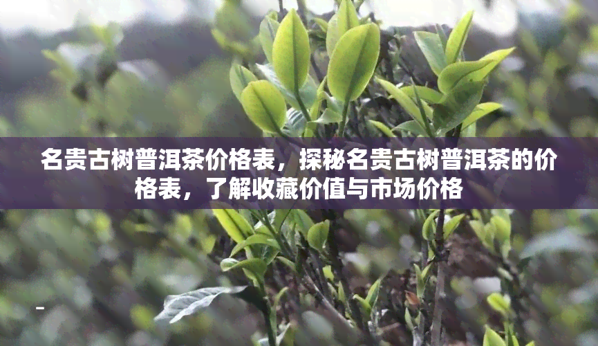 名贵古树普洱茶价格表，探秘名贵古树普洱茶的价格表，了解收藏价值与市场价格