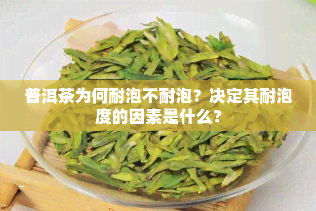 普洱茶为何耐泡不耐泡？决定其耐泡度的因素是什么？