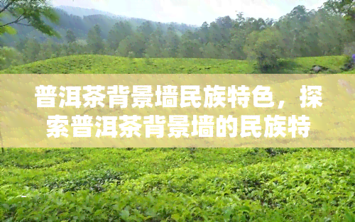 普洱茶背景墙民族特色，探索普洱茶背景墙的民族特色：一种独特的艺术表达