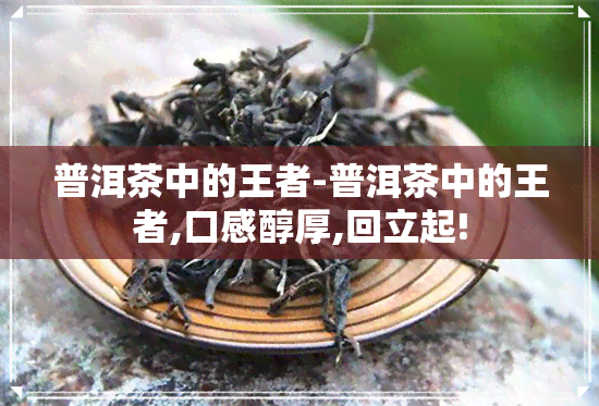 普洱茶中的王者-普洱茶中的王者,口感醇厚,回立起!