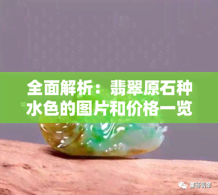 全面解析：翡翠原石种水色的图片和价格一览