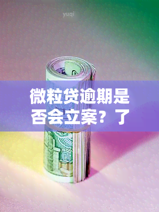 微粒贷逾期是否会立案？了解相关法律规定