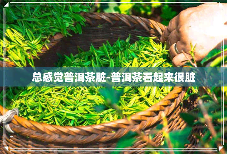 总感觉普洱茶脏-普洱茶看起来很脏