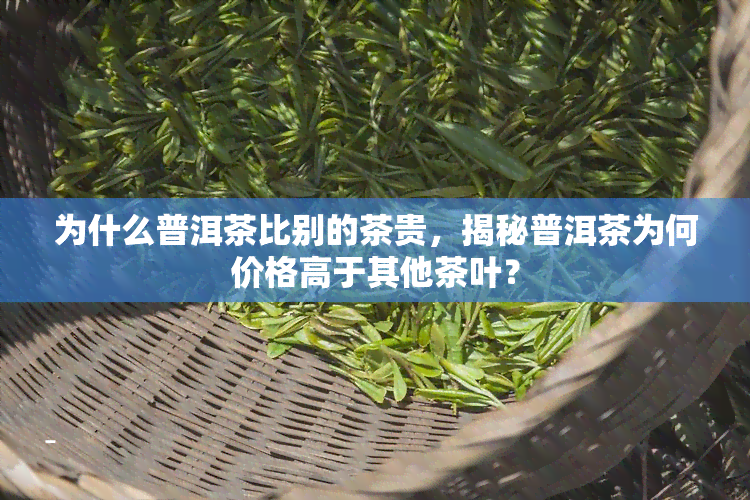 为什么普洱茶比别的茶贵，揭秘普洱茶为何价格高于其他茶叶？