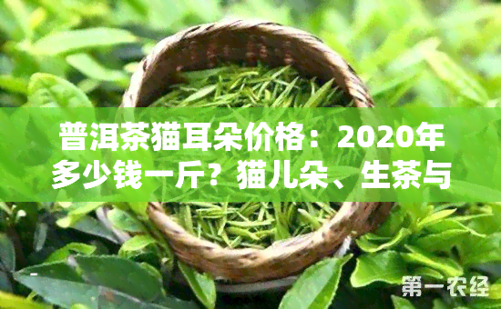 普洱茶猫耳朵价格：2020年多少钱一斤？猫儿朵、生茶与云南来源解析，倚邦独特品种介绍