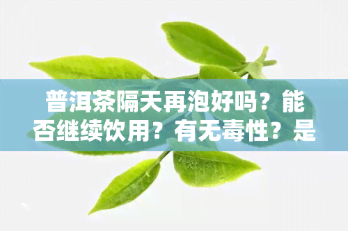 普洱茶隔天再泡好吗？能否继续饮用？有无性？是否可以第二天接着泡？隔夜还可以再泡吗？