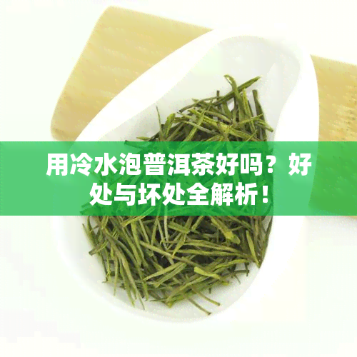 用冷水泡普洱茶好吗？好处与坏处全解析！