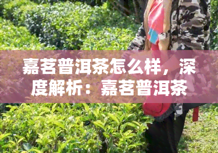 嘉茗普洱茶怎么样，深度解析：嘉茗普洱茶的品质与口感如何？