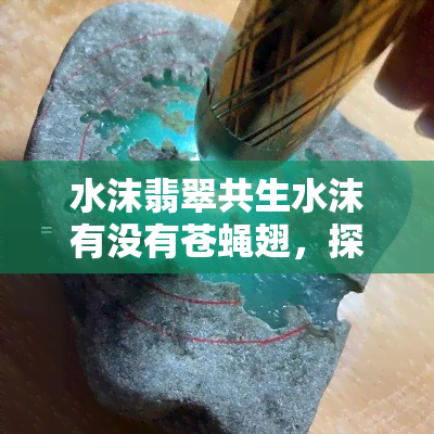 水沫翡翠共生水沫有没有苍蝇翅，探讨水沫翡翠共生水沫是否具有苍蝇翅现象