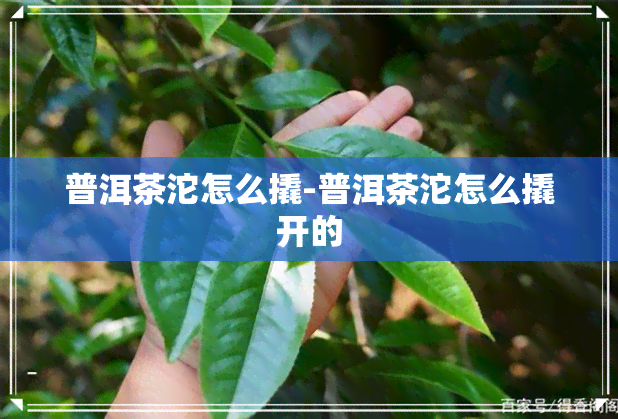 普洱茶沱怎么撬-普洱茶沱怎么撬开的