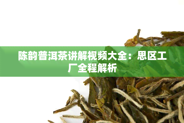 陈韵普洱茶讲解视频大全：思区工厂全程解析