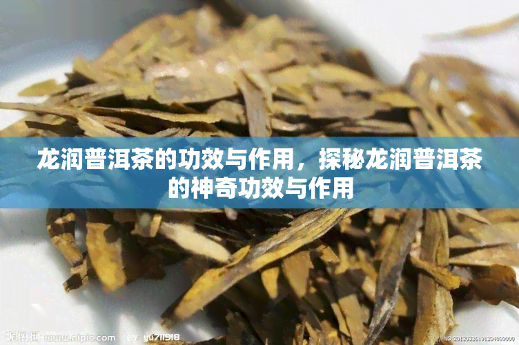 龙润普洱茶的功效与作用，探秘龙润普洱茶的神奇功效与作用