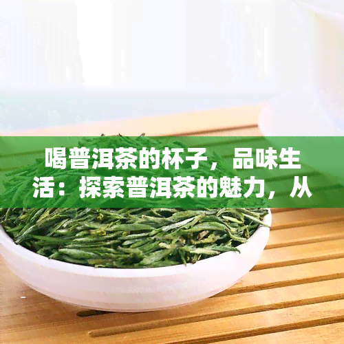 喝普洱茶的杯子，品味生活：探索普洱茶的魅力，从选择合适的杯子开始