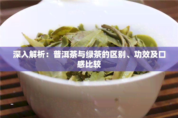 深入解析：普洱茶与绿茶的区别、功效及口感比较