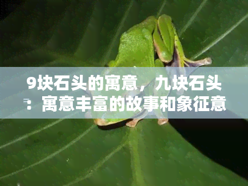 9块石头的寓意，九块石头：寓意丰富的故事和象征意义