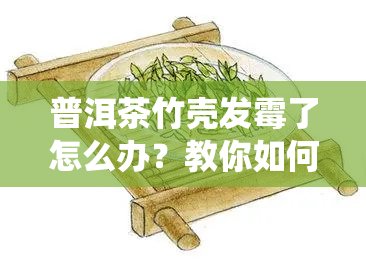 普洱茶竹壳发霉了怎么办？教你如何处理虫蛀、防虫！