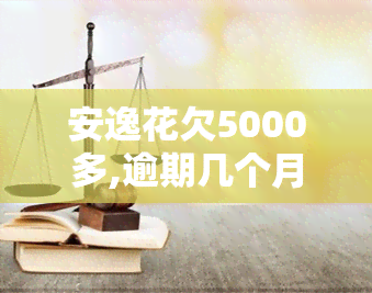 安逸花欠5000多,逾期几个月会被起诉吗，安逸花欠款5000多逾期数月，可能面临被起诉风险