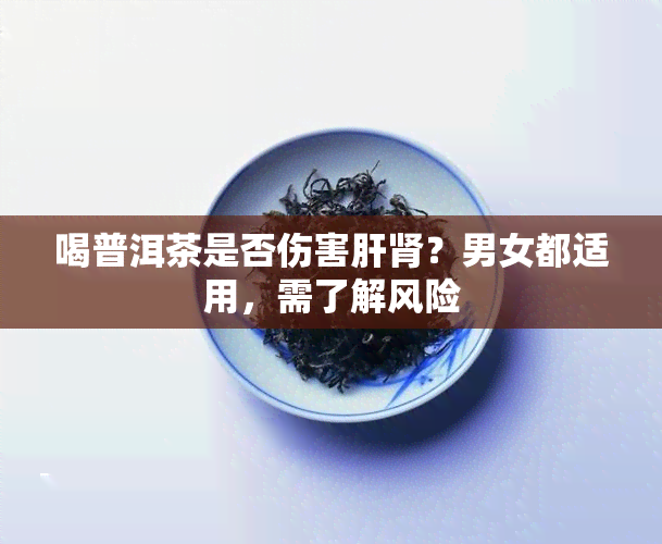 喝普洱茶是否伤害肝肾？男女都适用，需了解风险