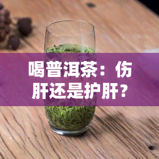 喝普洱茶：伤肝还是护肝？探讨其十大害处与肾脏益处