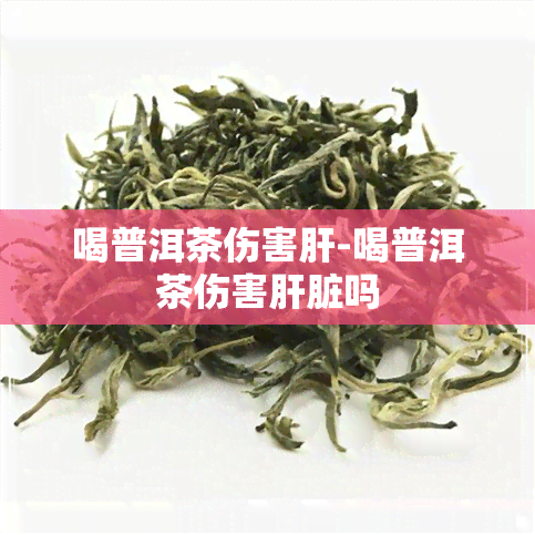 喝普洱茶伤害肝-喝普洱茶伤害肝脏吗