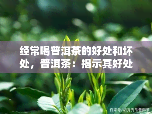 经常喝普洱茶的好处和坏处，普洱茶：揭示其好处与潜在风险的全面解析