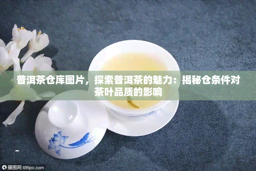 普洱茶仓库图片，探索普洱茶的魅力：揭秘仓条件对茶叶品质的影响