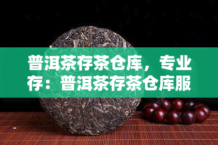 普洱茶存茶仓库，专业存：普洱茶存茶仓库服务