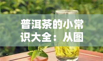 普洱茶的小常识大全：从图片到视频全解析