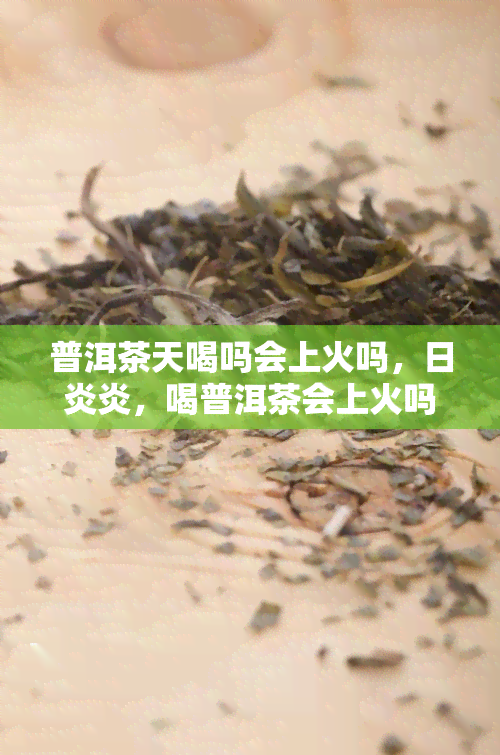 普洱茶天喝吗会上火吗，日炎炎，喝普洱茶会上火吗？