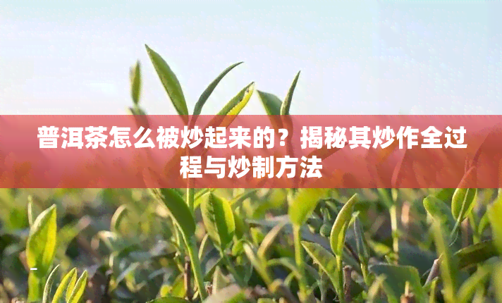 普洱茶怎么被炒起来的？揭秘其炒作全过程与炒制方法