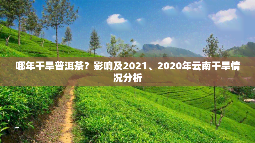 哪年干旱普洱茶？影响及2021、2020年云南干旱情况分析