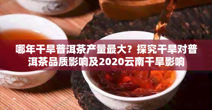 哪年干旱普洱茶产量更大？探究干旱对普洱茶品质影响及2020云南干旱影响