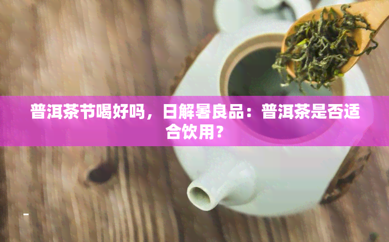 普洱茶节喝好吗，日解暑良品：普洱茶是否适合饮用？