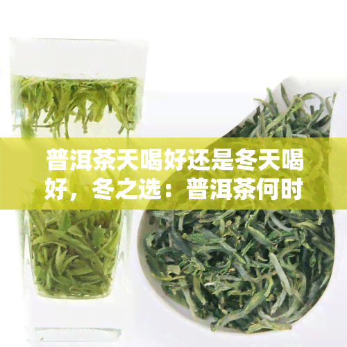 普洱茶天喝好还是冬天喝好，冬之选：普洱茶何时饮用？