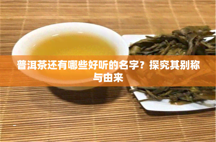 普洱茶还有哪些好听的名字？探究其别称与由来