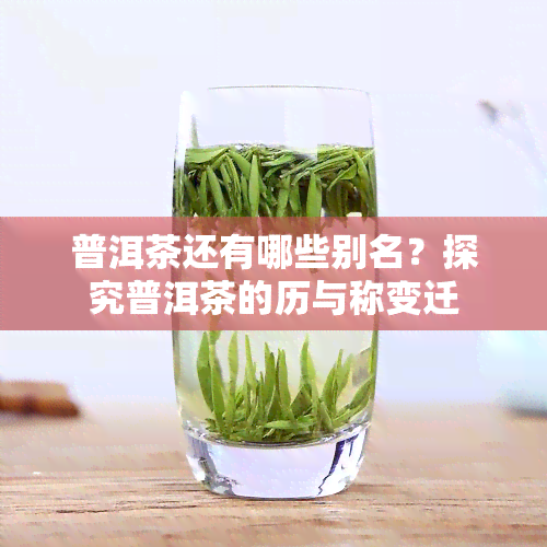 普洱茶还有哪些别名？探究普洱茶的历与称变迁